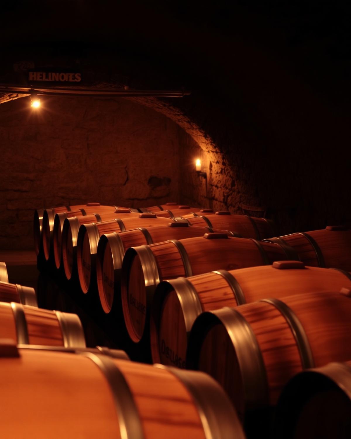 Botti di rovere in una cantina toscana